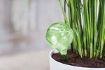 aqua care 9cm lime